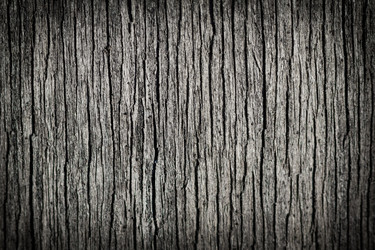 Similar image 22156503