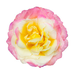 Similar image 22156513