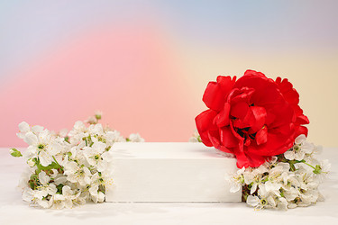 Similar image 22155489