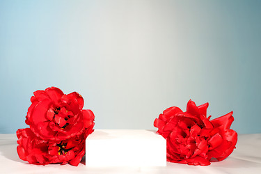 Similar image 22155493