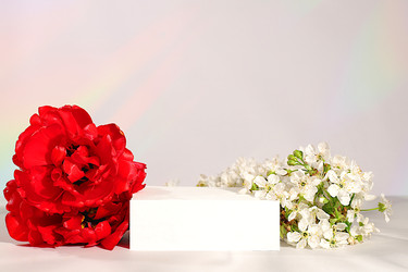 Similar image 22155494