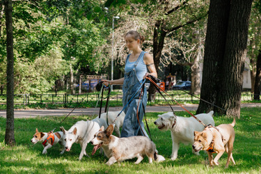 Similar image 22158672