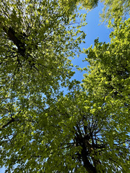 Similar image 22161334