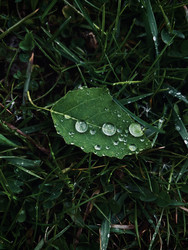 Similar image 22161335