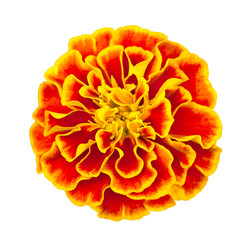 Similar image 22156520