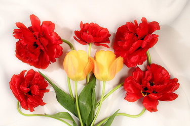 Similar image 22156527