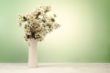 Similar image 22156528