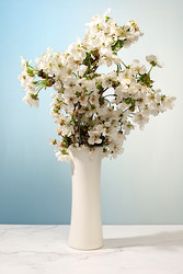 Similar image 22156529