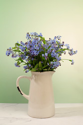 Similar image 22156531