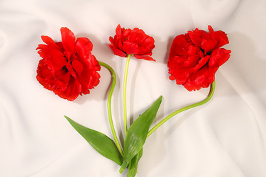 Similar image 22156534