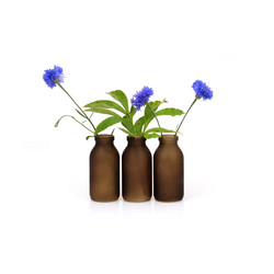 Similar image 22157152