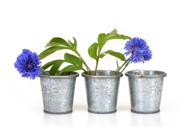 Similar image 22157154