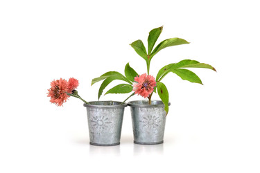 Similar image 22157156