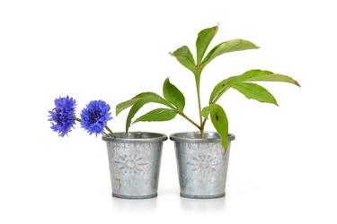 Similar image 22157158