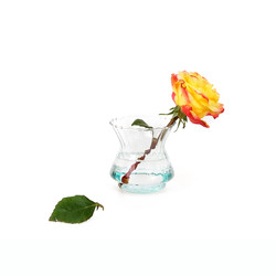 Similar image 22156953