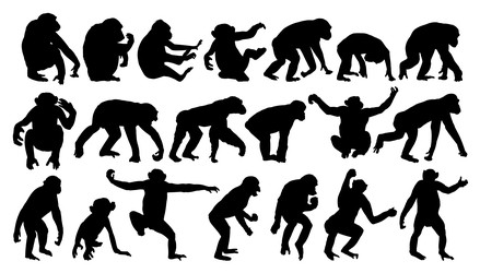 Similar image 22163841