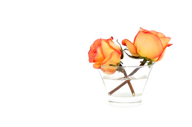 Similar image 22156961