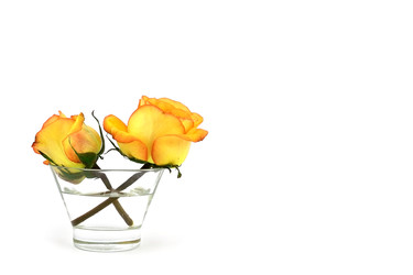 Similar image 22156973