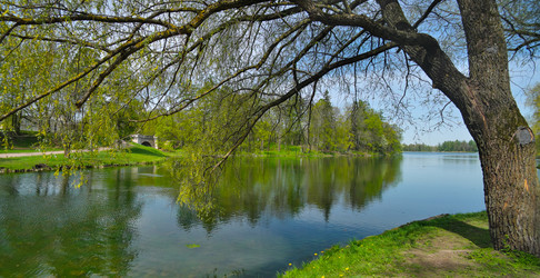 Similar image 22156989