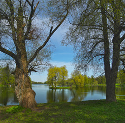 Similar image 22157001