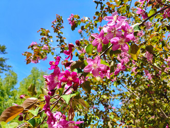 Similar image 22156536