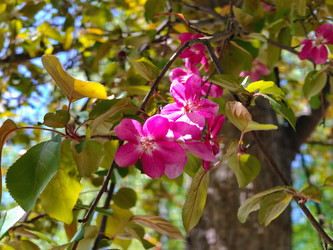 Similar image 22156537