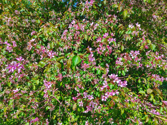 Similar image 22156539