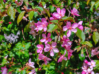 Similar image 22156540