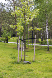 Similar image 22156569