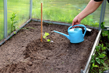 Similar image 22163843