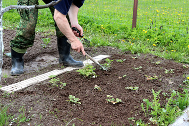 Similar image 22163845