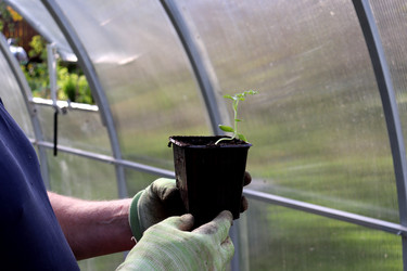 Similar image 22163847