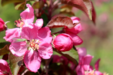 Similar image 22163848