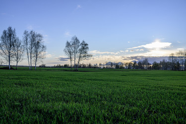 Similar image 22161342