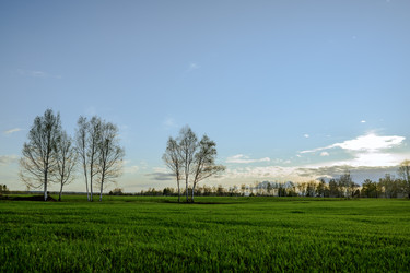 Similar image 22161343