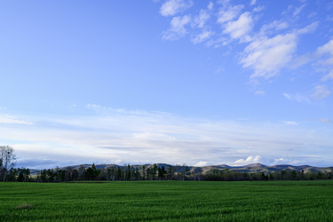 Similar image 22161344