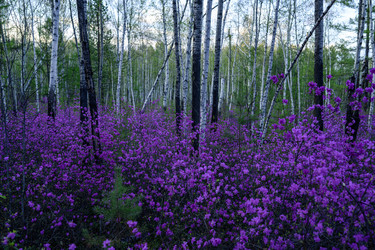 Similar image 22158098