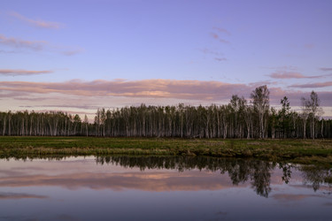 Similar image 22161345