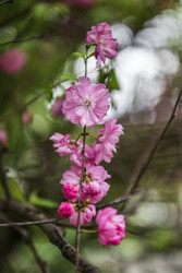 Similar image 22156574