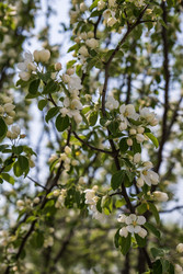 Similar image 22163850