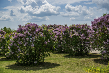 Similar image 22156576