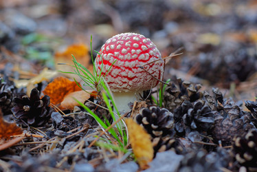 Similar image 22157878