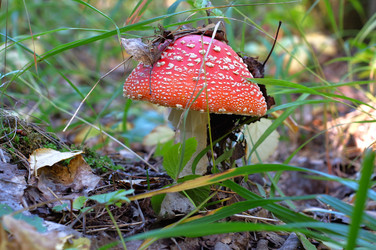 Similar image 22157880