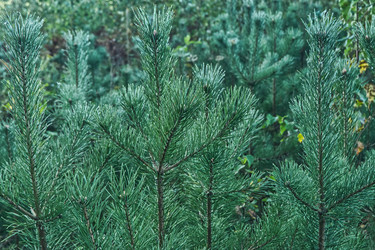 Similar image 22157882