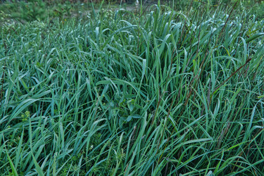 Similar image 22157883