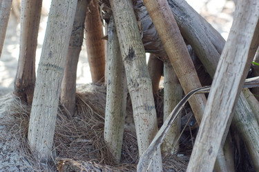 Similar image 22157887