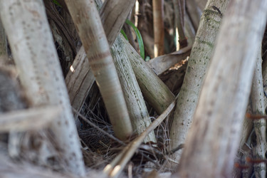 Similar image 22157888