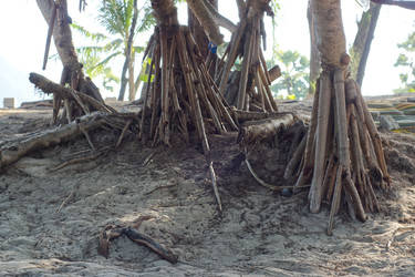 Similar image 22157890