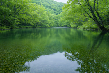 Similar image 22158800