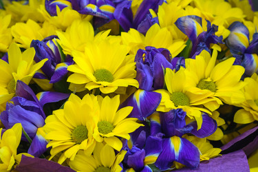 Similar image 22156583